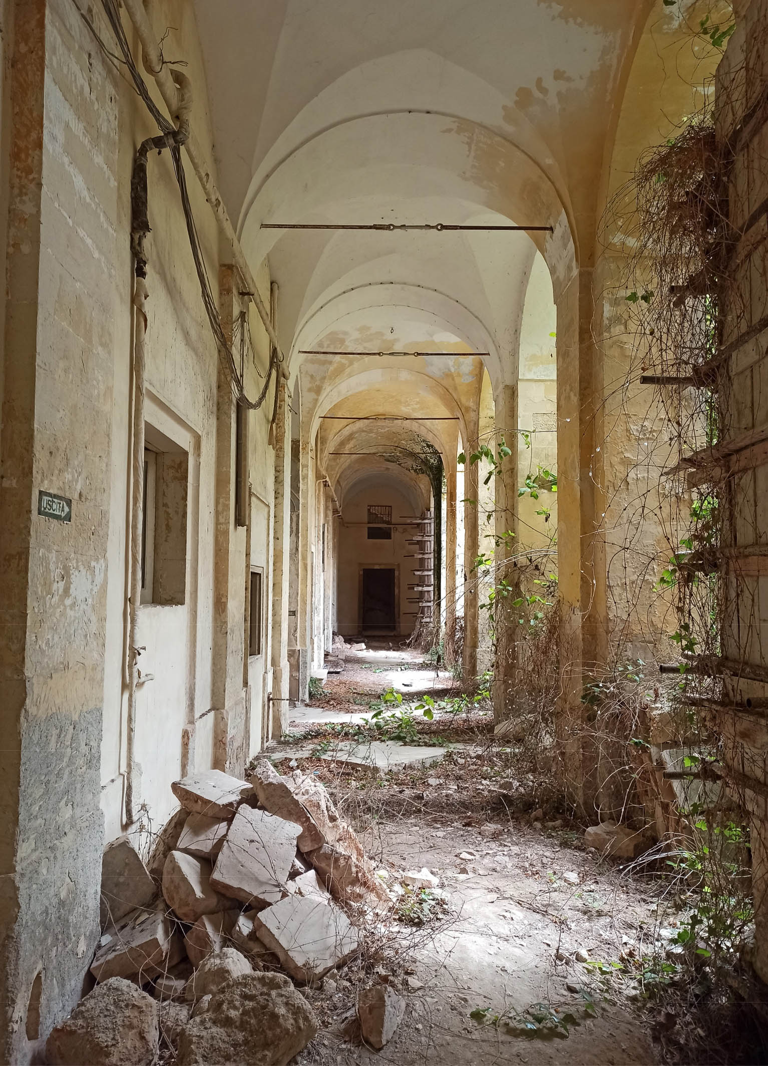Ex Convento Carmelitani Scalzi, Lecce: lo spazio rustico e abbandonato